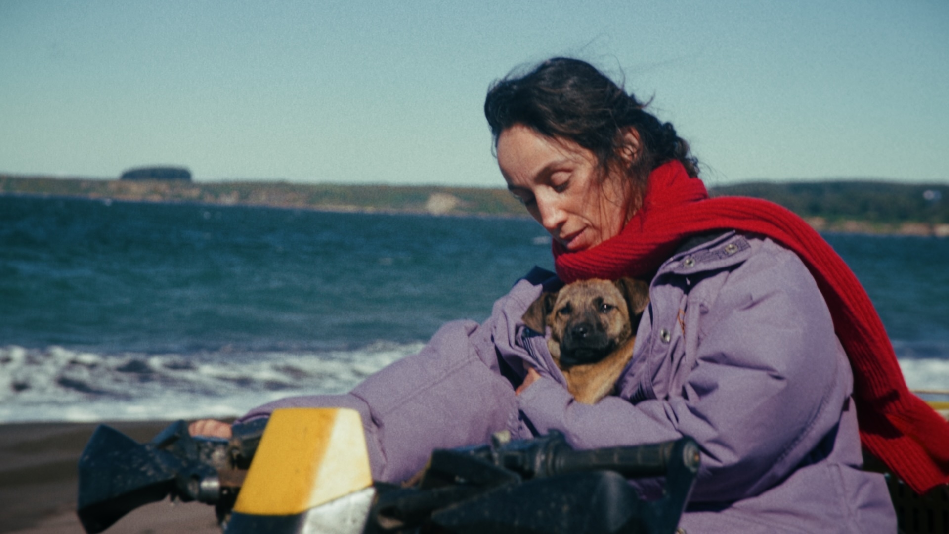 „La Perra” na Nowych Horyzontach – za ten film Yuri dostała Palm Dog Award!